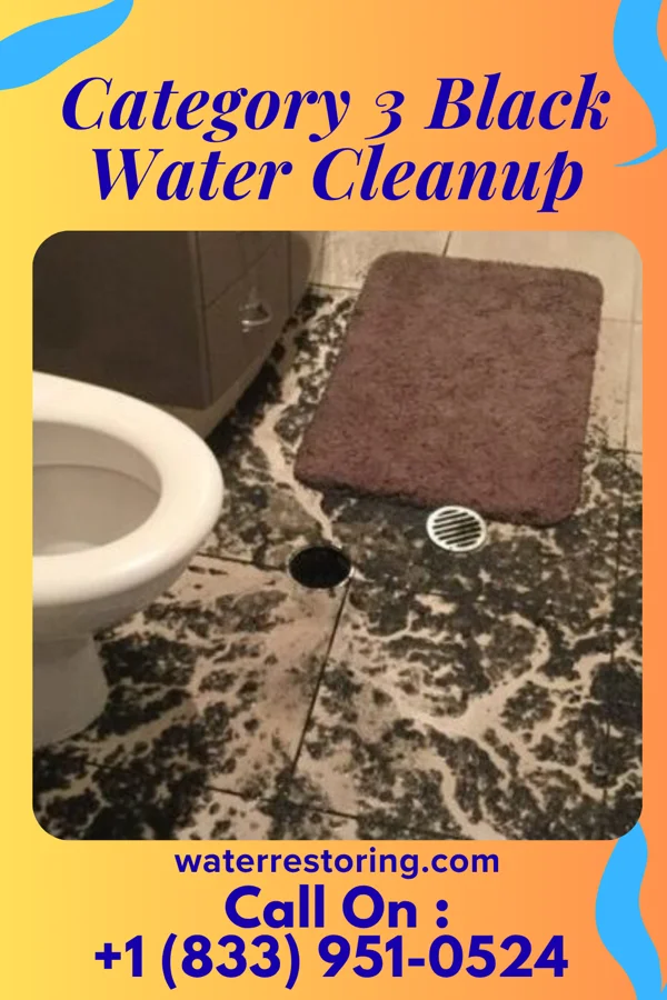 Category 3 Black Water Cleanup in East Merrimack, NH